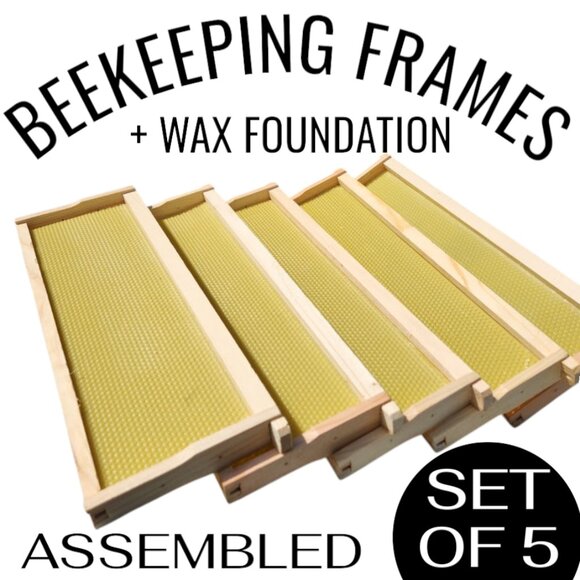 Beekeeping Equipment 10 Medium Frames + 10 Wax Foundation ASSEMBLED For Super Bo - Picture 1 of 11